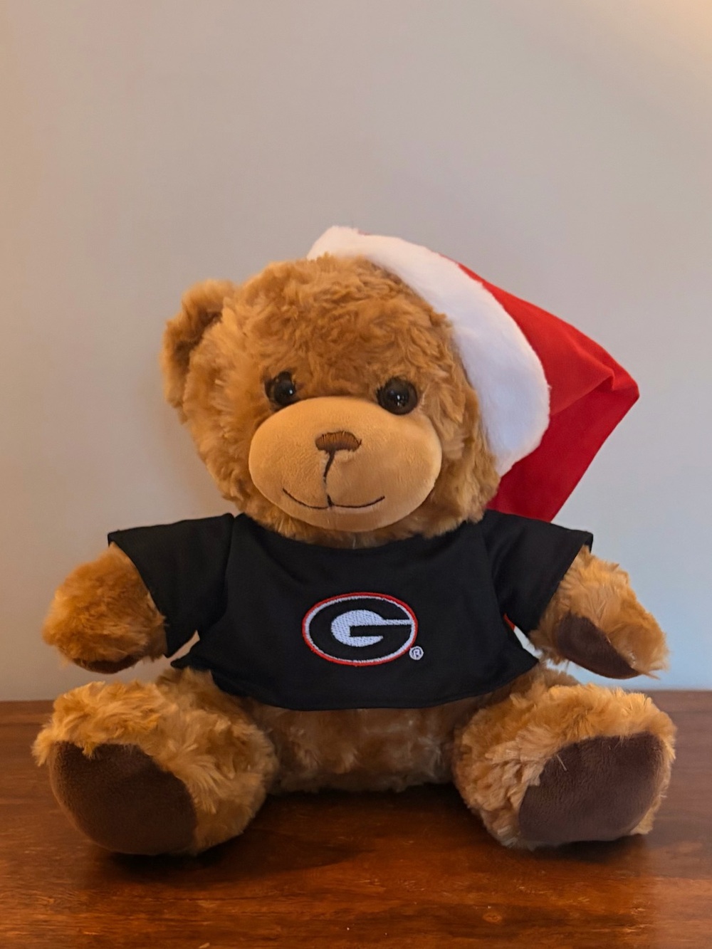 University of Georgia Plush Bear in Black Tee with Red Santa Hat